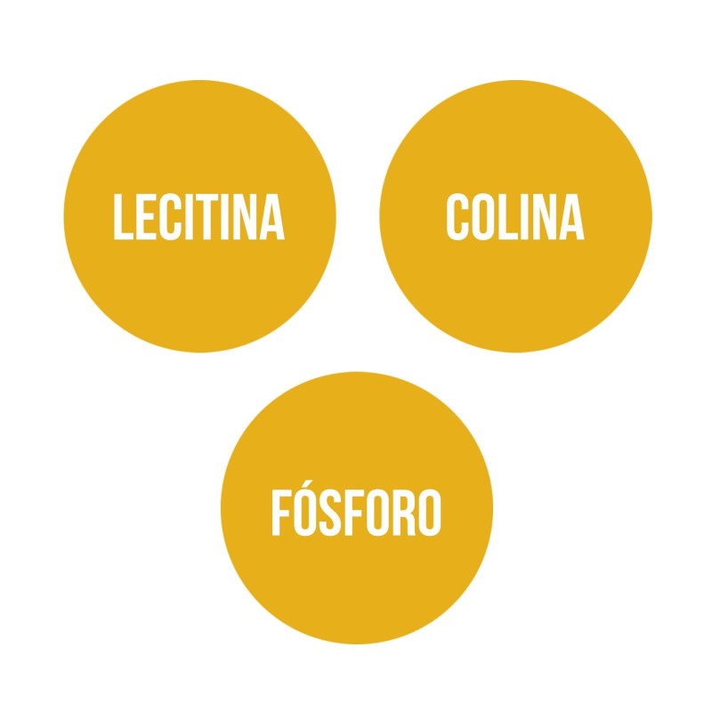SOY LECITHIN (300 pearls)