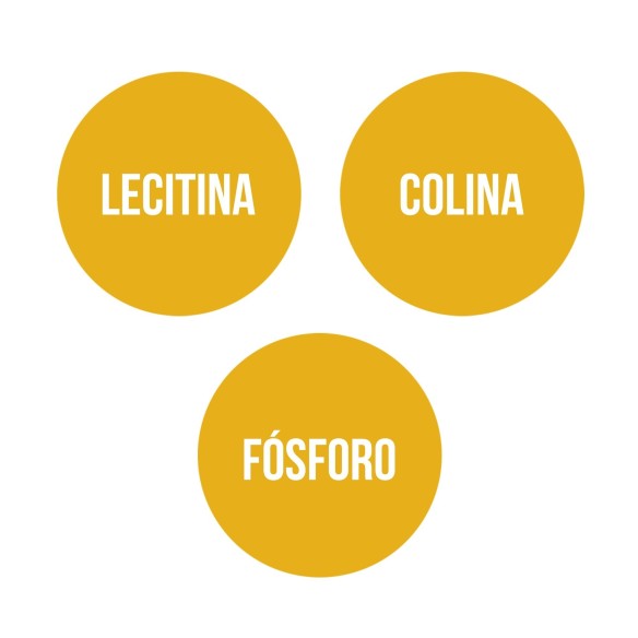 LECITINA DE SOJA (300 perlas)