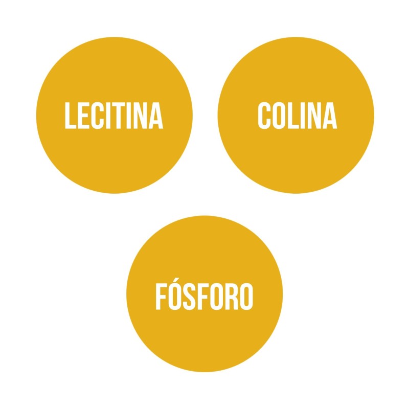 LECITINA DE SOJA (90 Perlas)