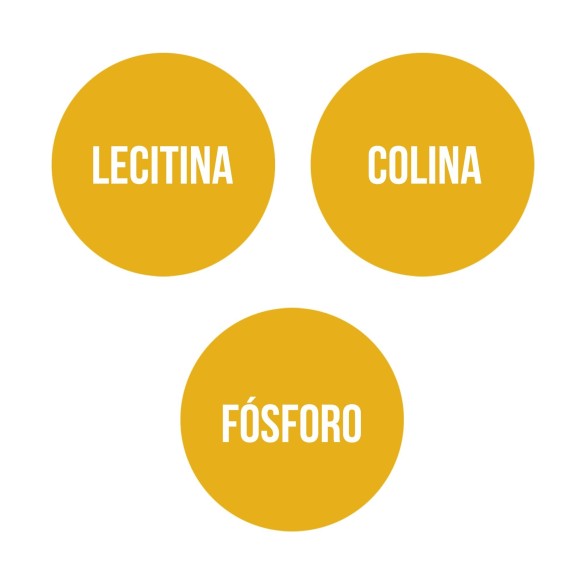 LECITINA DE SOJA (90 Perlas)