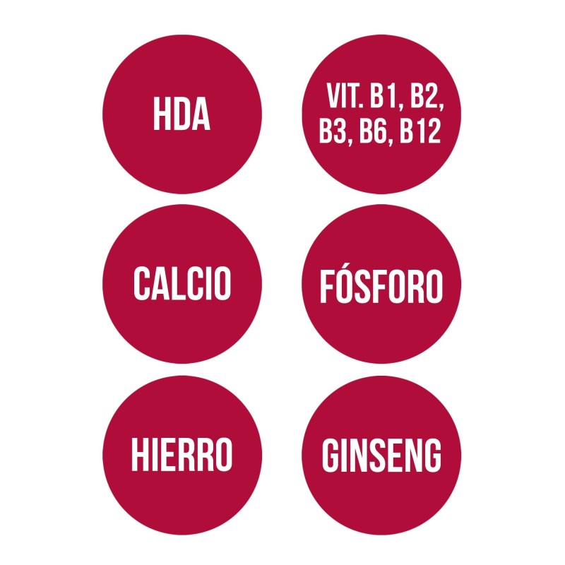 GINSENG CON JALEA REAL (60 cap.)