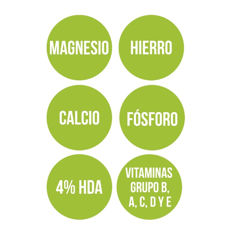 JALEA REAL CON MAGNESIO (60 cap.)