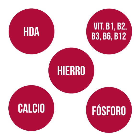 ROYAL JELLY WITH HONEY (135 gr)