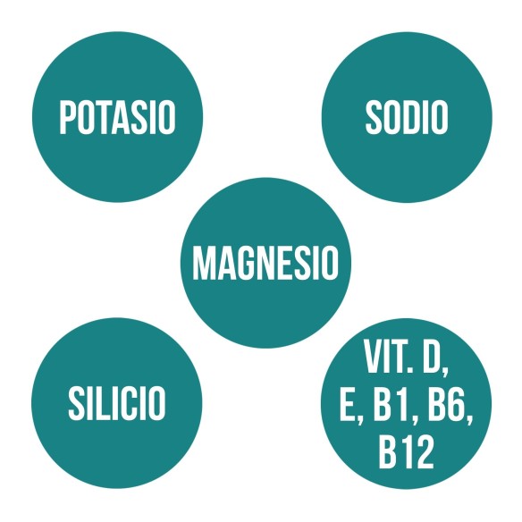 SALES MINERALES (25 caps.) - Isotónicas AMLSPORT